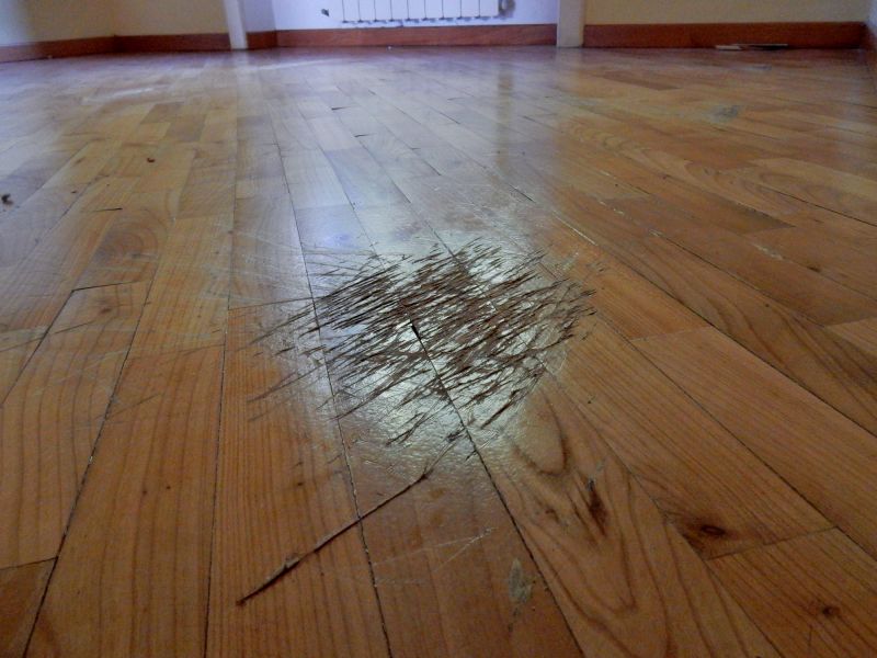 Maple Floor Staining in Kansas City, KS